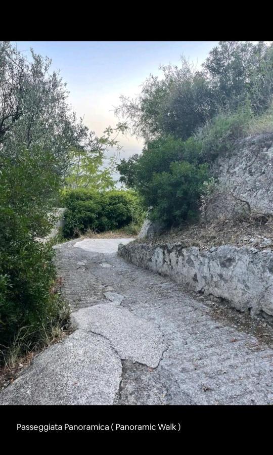 La Scivitella Holiday home *